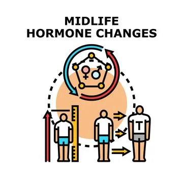 Midlife hormone changes affecting human body development Stock Illustration