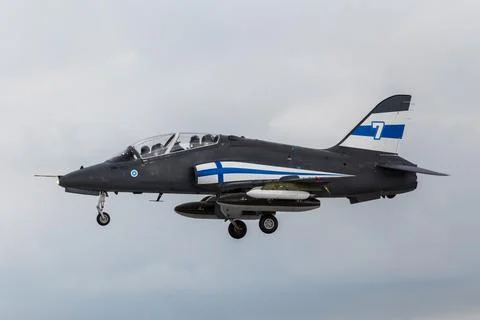 Midnight Hawk closeup Stock Photos