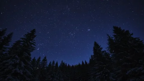 Midnight landscape with starry sky, tree silhouette, and astronomical objects. Stock Footage 264043034