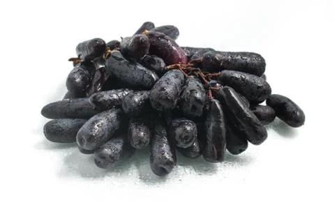 Midnight Long Black Grapes Stock Photos