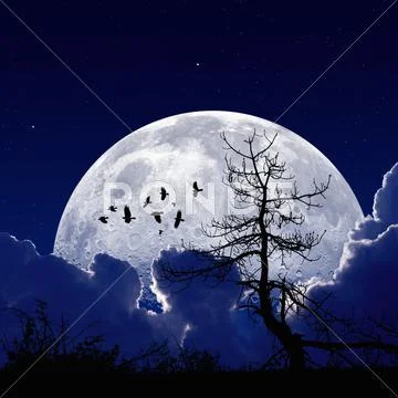 Midnight moon Stock Photos