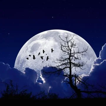 Midnight moon Foto stock