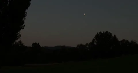 Midnight moon sky with sihouettes of trees landscape Stock Footage 160679185