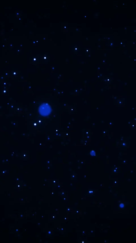Midnight Particle Field Stock Footage 311132176
