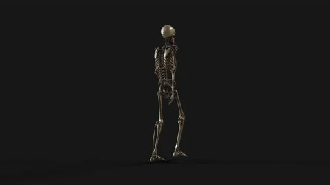 Midnight Skeleton G8M-WalkLoop Stock Footage 201306488