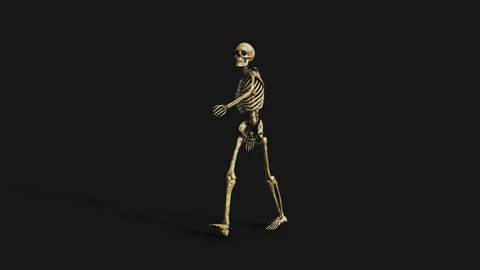 Midnight Skeleton G8M-WalkLoop14 Stock Footage 201306551
