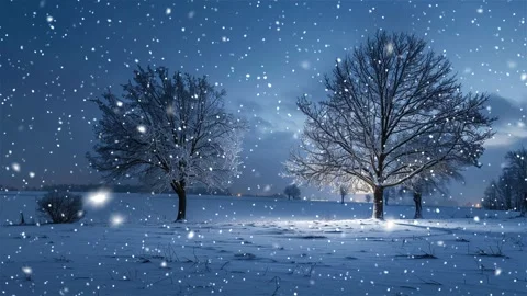 Midnight snowflakes slowly falling against a backdrop of snow-covered trees. Stock Footage 268467344