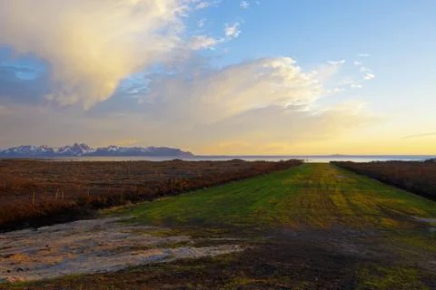 Midnight sun Stock Photos