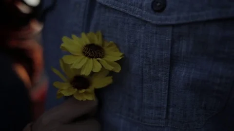 Midsection of couple with sunflowers during sunset Stock Footage