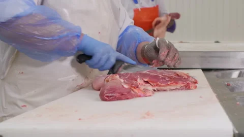 Midsection of worker slicing meat with knife at factory 動画素材 247300600