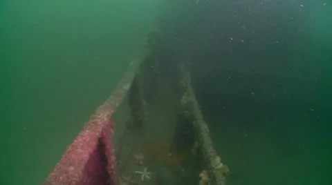 Midships Stock Footage 49375233