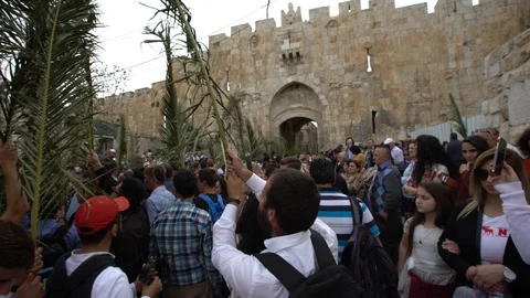 In the midst of crowd procession and celebration of Palm Sunday. C0006-01 動画素材 106112498
