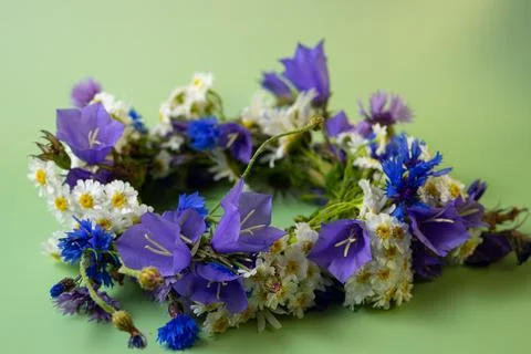 Midsummer flower crown Stock Photos