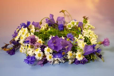 Midsummer flower crown Stock Photos