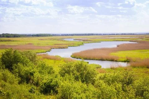 Midsummer, July, landscape. Stock Photos