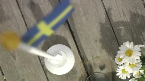 Midsummer party Stock-Footage 11287543