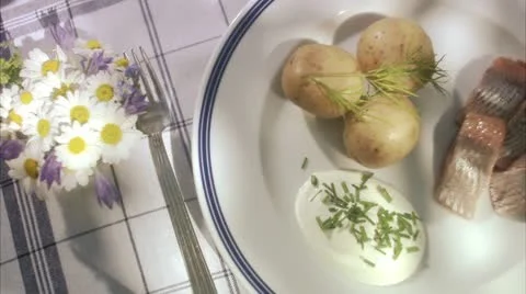 Midsummer party Stock Footage 11287562