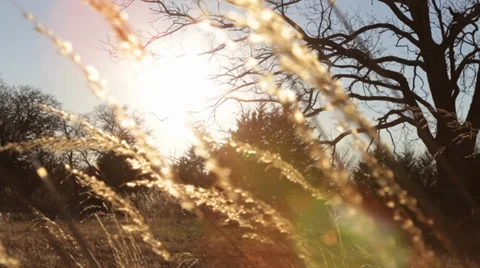 Midwest Plains Stock Footage 34087082