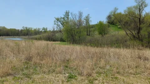Midwest prairie in the spring Stock Footage 300195370
