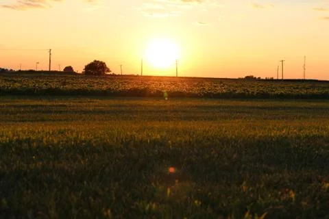 Midwest Sunset Stock Photos