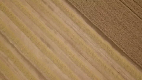 A midwest wheat field view from a drone Vídeo Stock 159446915