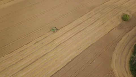 A midwest wheat field view from a drone Video stock 159448110