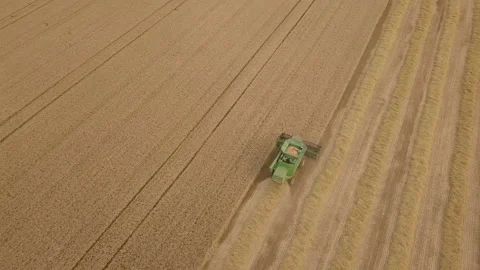 A midwest wheat field view from a drone Vídeo Stock 159448621
