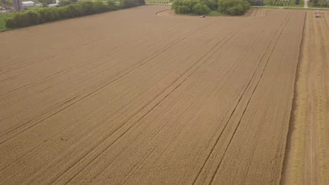 A midwest wheat field view from a drone Video stock 159448663