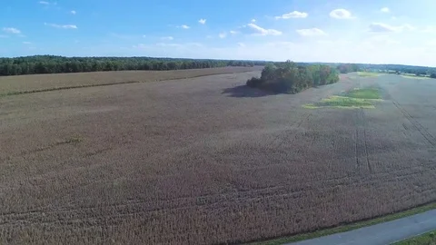 Midwestern Farm Fields during fall Aerial Video stock 80577635