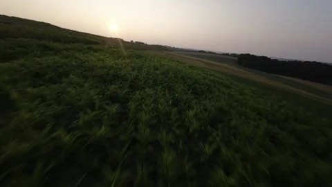 Midwestern farm fields at sunrise 動画素材 255597612