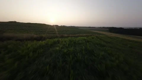 Midwestern farm fields at sunrise 動画素材 255597629