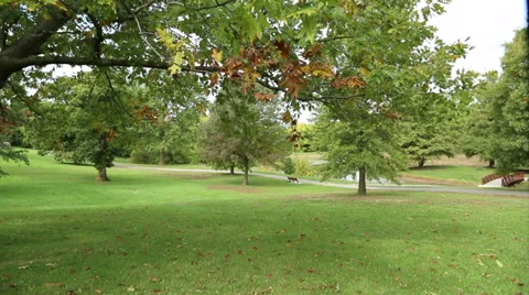 Midwestern Park almost Fall 動画素材 38541509