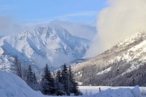 MidWinter Day Stock Photos