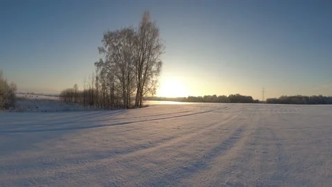 Midwinter sunset above fields and herd of roe deers, time lapse Stock Footage 237624830