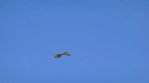 Mig-15 one of the first successful jet fighters with a swept wing Stock Footage 317267629