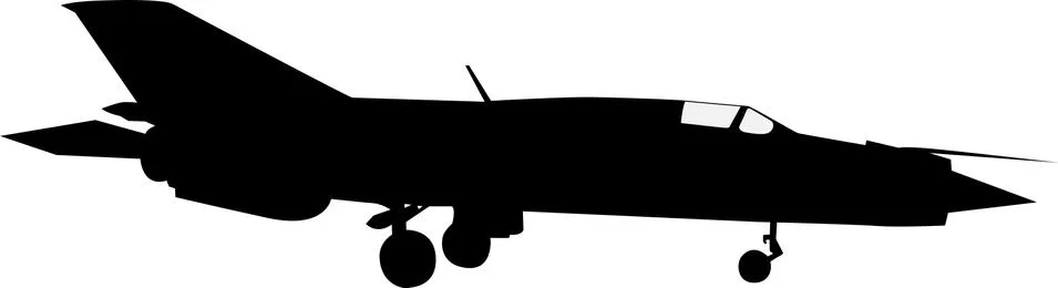 MiG 21 Stock Illustration