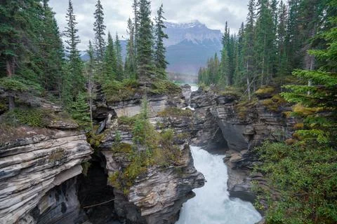Mighty Athabasca Falls on a cloudy, rainy day in Jasper National Park, Alberta Stock Photos