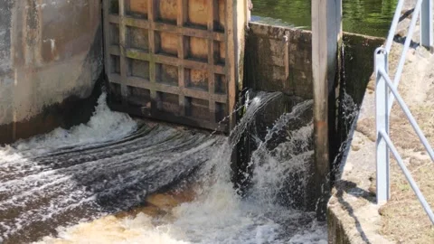 Mighty Flow: Water Rushing Through an Open Sluice Gate Stock Footage 311331603