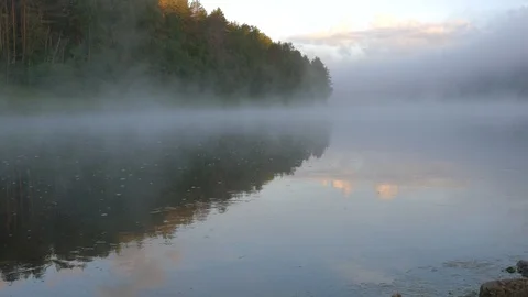 Mighty green forest reflects on river crystal clear water Video stock 109496153
