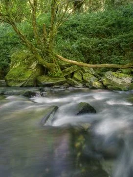 A mighty river cuts through large rocks Stock Photos