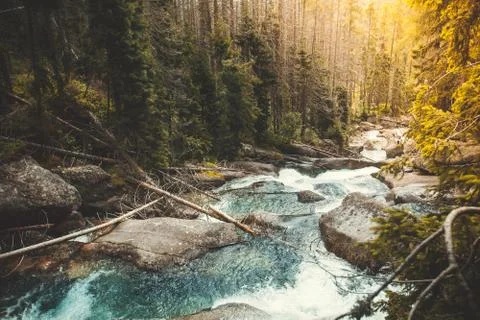 Mighty river flowing through the forest, Tatras. Stock-Fotos