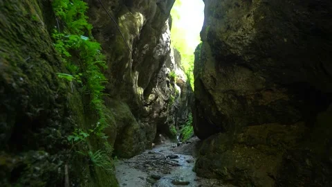 Mighty rocks of the mountains and river with pure cold water in green forest Stock Footage 192931816