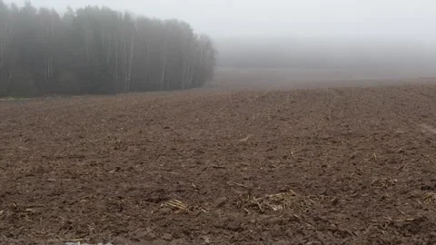 MIGRANT CAMP. BELARUS Video stock 166747427