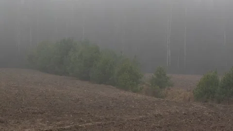 MIGRANT CAMP. BELARUS Stock Footage 166747428