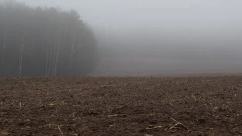 MIGRANT CAMP. BELARUS Stock Footage 166747432