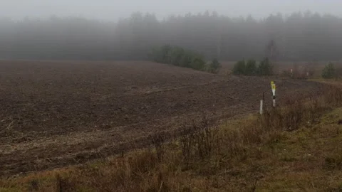 MIGRANT CAMP. BELARUS Video stock 166747435