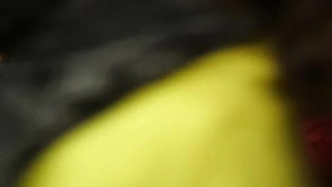 MIGRANT CAMP. BELARUS Video stock 166749102