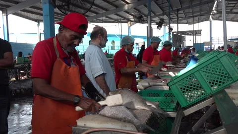 Migrant workers at fish market remove scales, Jeddah Saudi Arabia Stock Footage 137786846