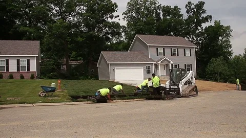 Migrant Workers Laying Down Sod. Stock Footage 81010122