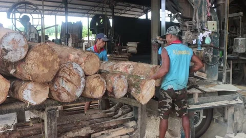 Migrant workers in sawmill Stock Footage 134003974